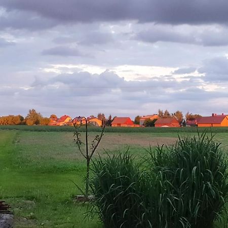 Zlota Pasieka Zator Przeciszow Eksteriør billede